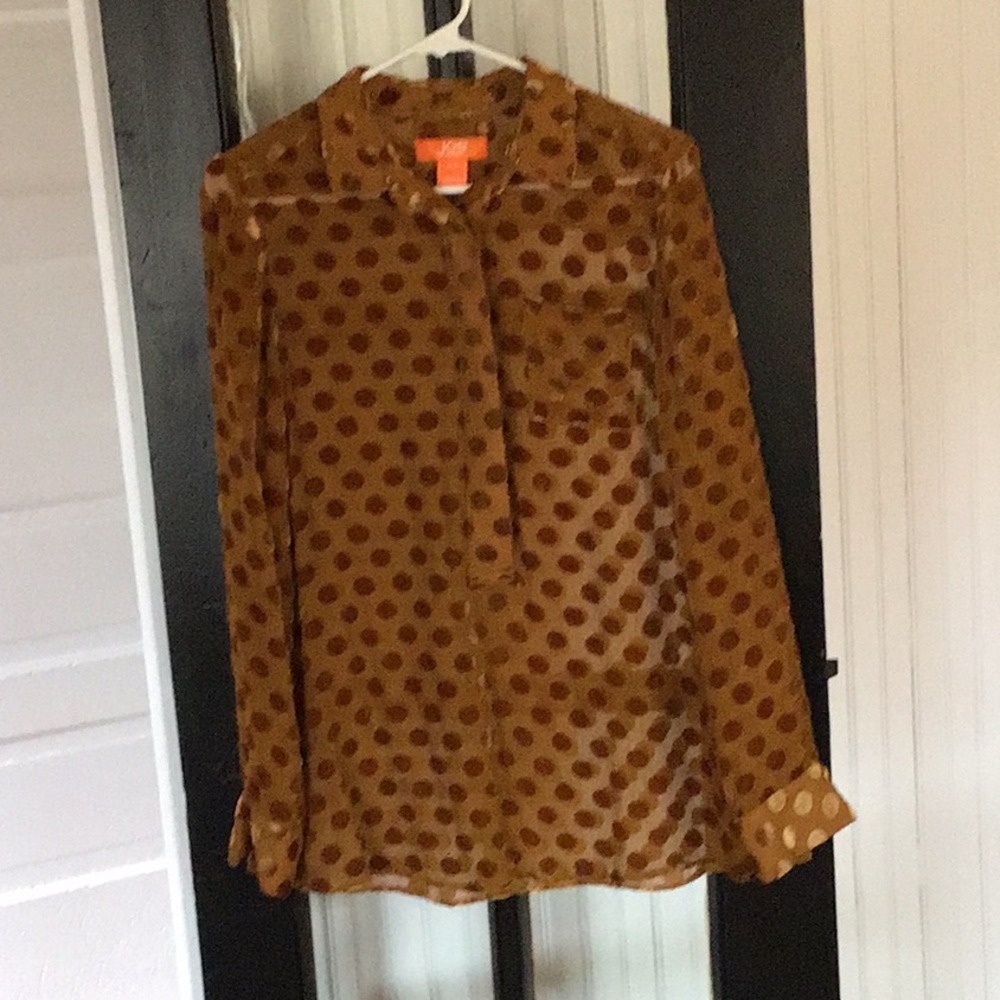 Joe Fresh Sheer Blouse